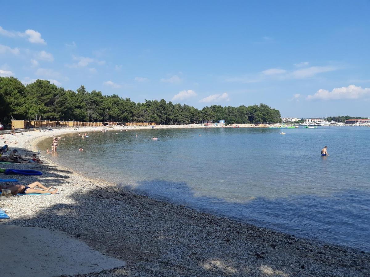Apartments Mirella Novigrad  Екстер'єр фото