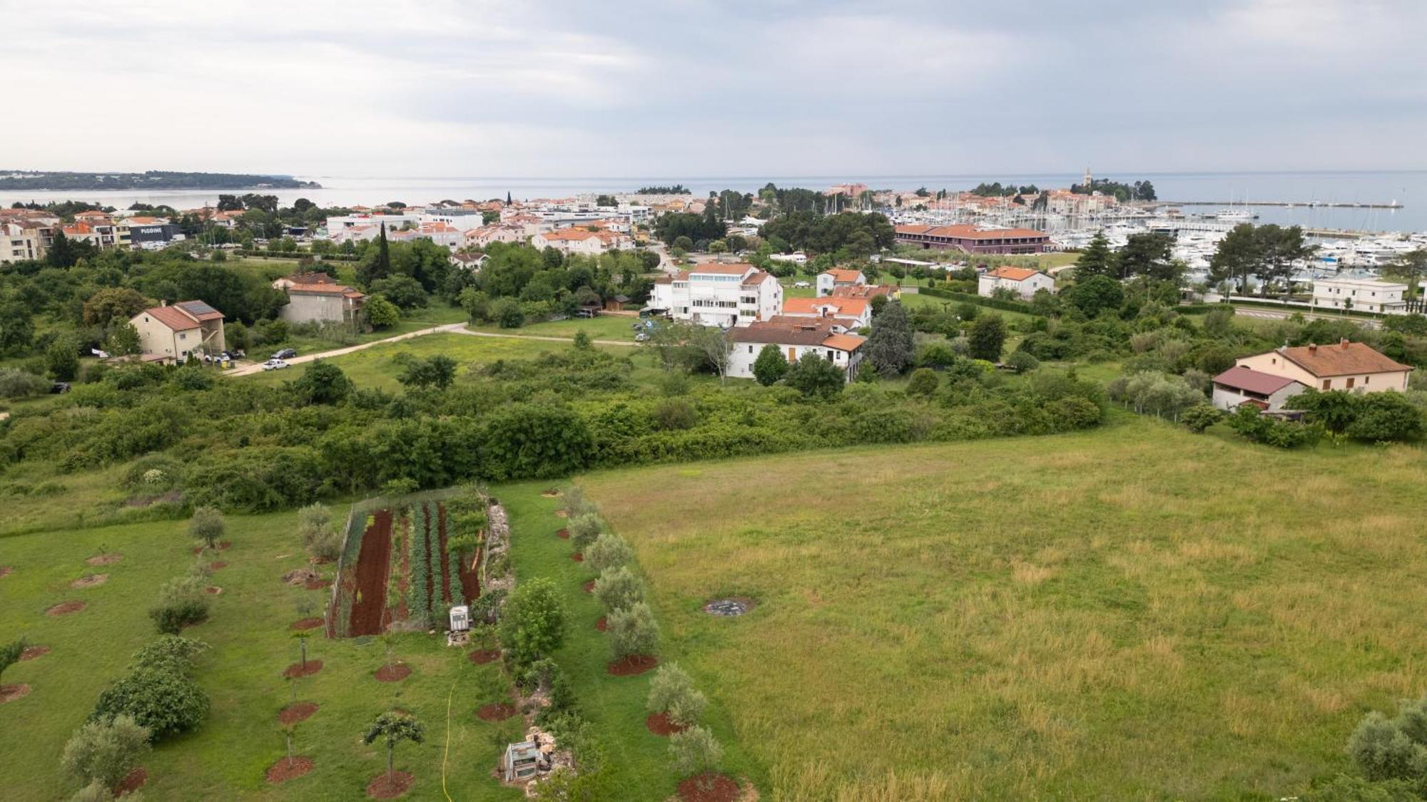 Apartments Mirella Novigrad  Екстер'єр фото