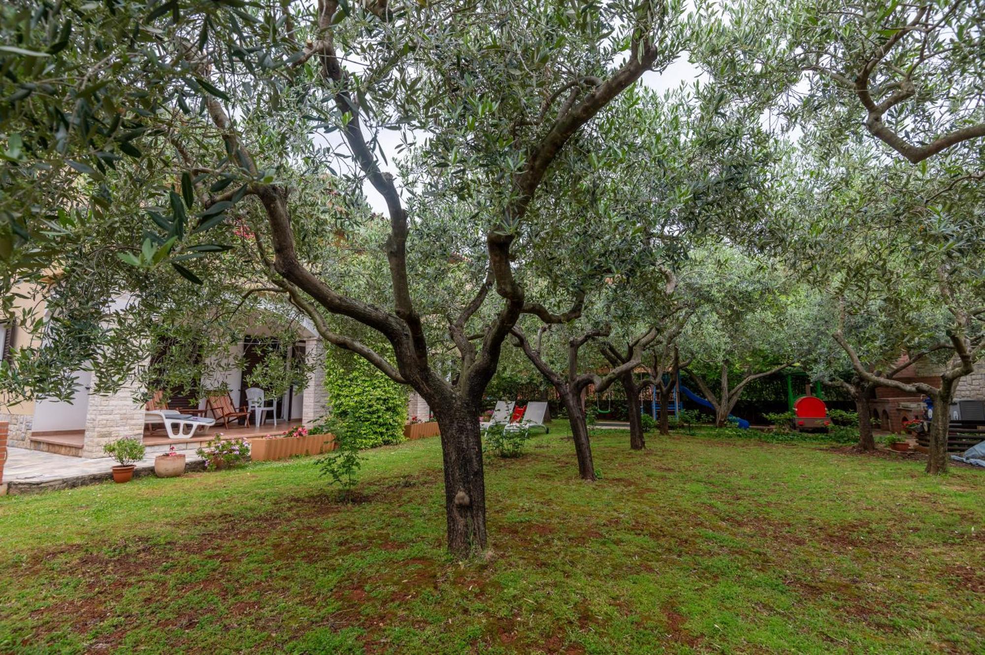 Apartments Mirella Novigrad  Екстер'єр фото